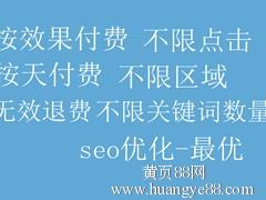【優(yōu)化公司一流的東莞優(yōu)化來(lái)自瑞博網(wǎng)絡(luò)信息科技公司】-