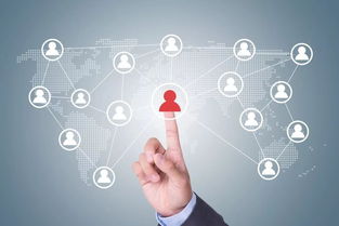 拼團(tuán)的盡頭......