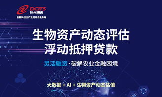 神州信息 金融科技全產業鏈綜合服務商