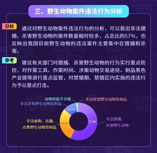 嘉誠(chéng)信息技術(shù)股份有限公司 信息技術(shù)領(lǐng)域的領(lǐng)跑者